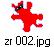 zr 002.jpg